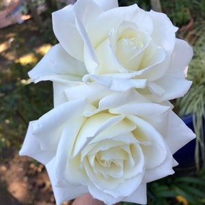 Meet your Posher, Kathryn